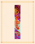 240 Shot Multi Colour